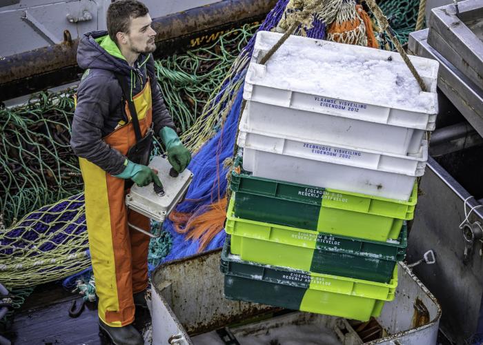 © Pascal Vandecasteele © Pascal Vandecasteele